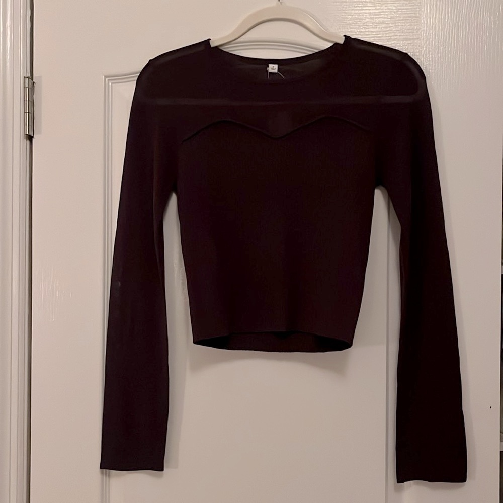 sheer long sleeve sweater